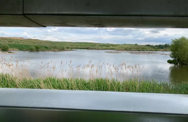 View across the Beddington Farmlands from one of the new bird hides.