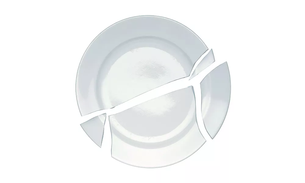 Photo of a broken dinner plate.
