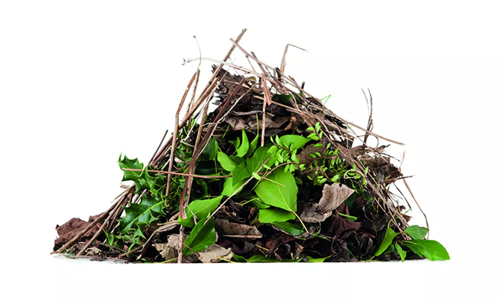 Photo of a pile of garden waste.
