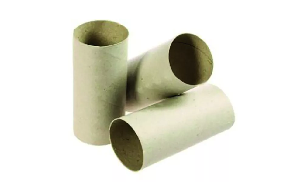 Photo of toilet roll tubes.