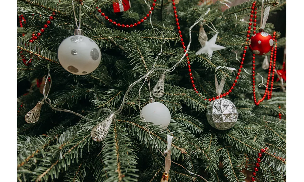 Photo showing a close-up of a Christmas tree.