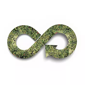 Green circular economy concept - arrow infinity symbol with grass, isolated on white background.