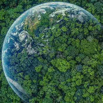 Image of the world superimposed on a green forest.