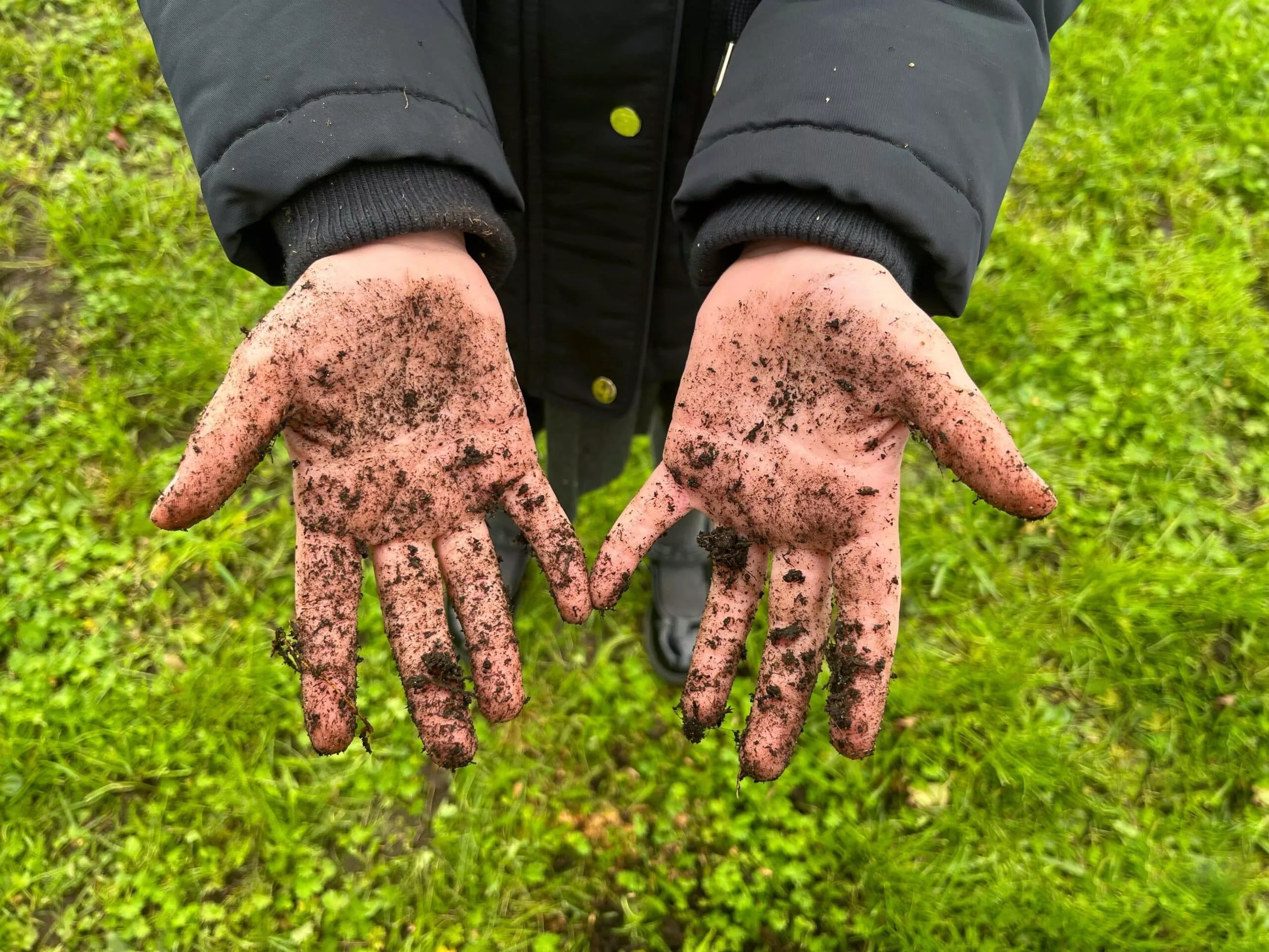 Photograph of a young child's hands covered in mud.